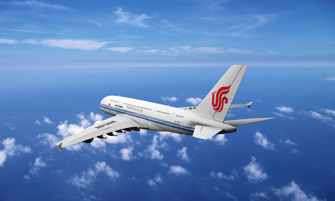 中国国际航空股份有限公司项目介绍